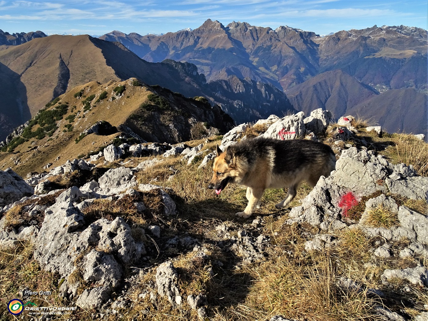 73 Dori perlustra la cima del Venturosa.JPG